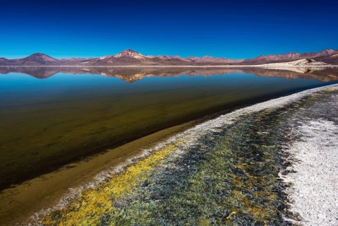 Salt Lake Salar de Surire
