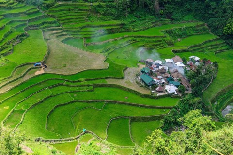 Bangaan in the rice terraces of Banaue