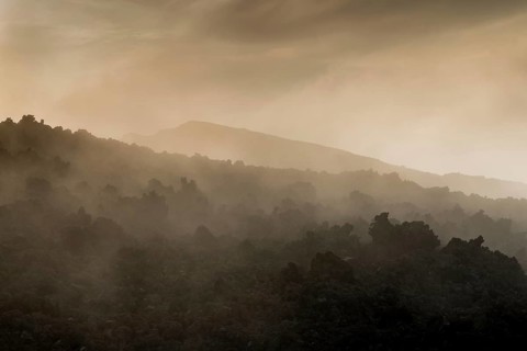 Fog over lava field