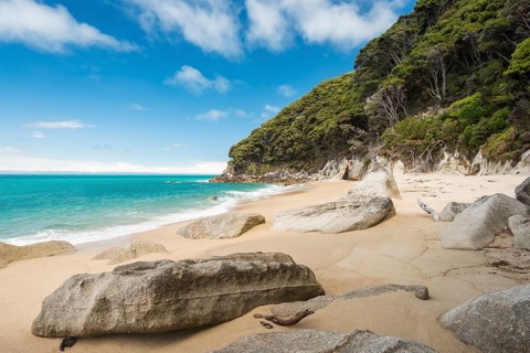 Rocks on sandy beach with tropical vegetation