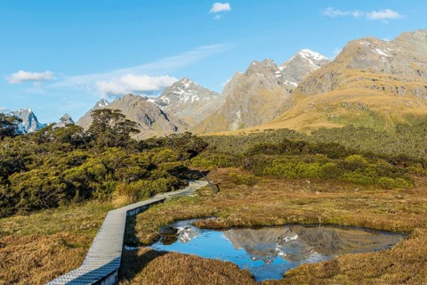 Bridge over Hochmoor