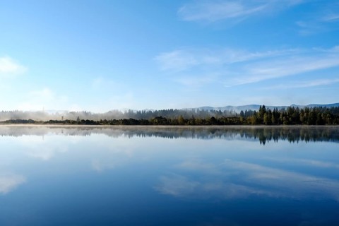 Morgennebel