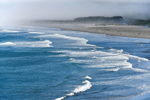 Pacific Coast in fog near Punihuil