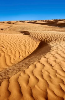 Sand dunes of Erg Oriental