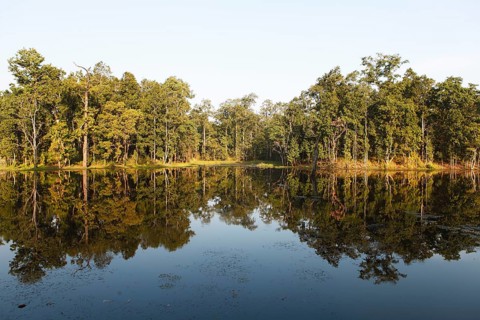 Trees reflected in Twenty Thousand Lake