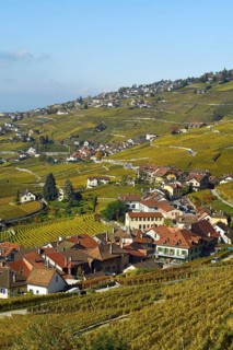 Vineyards in autumn with view of winemaking villages Epesses and Riex