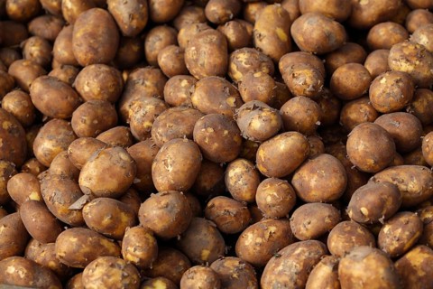 Potatoes