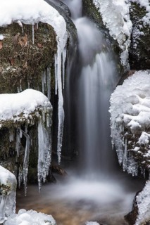 Myra Falls