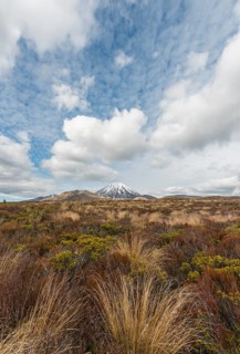Volcano Mount Tongariro and Mount Ngauruhoe