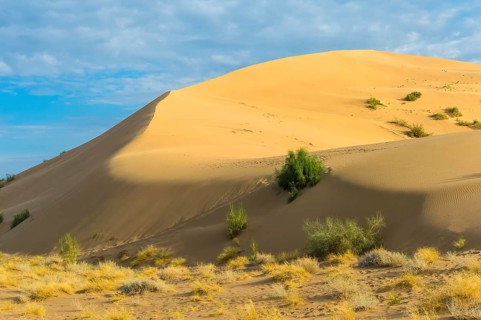 Singing Dune