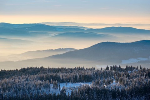 Fog in the valley