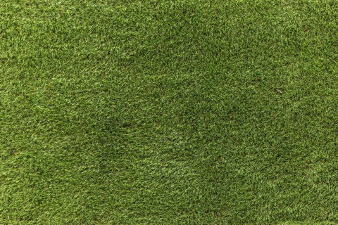 Piece of green artificial turf
