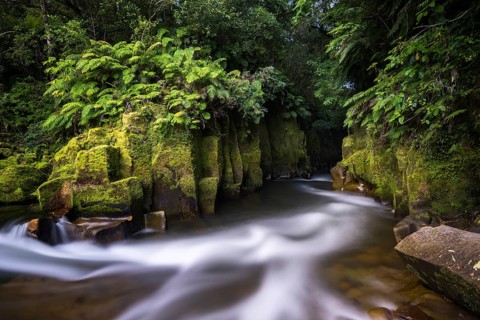 River running through Te Whaiti Nui Toi Canyon