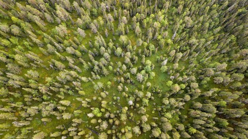 Drone shot