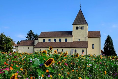 Meadow of flowers in front of George Church