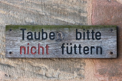 Sign prohibiting pigeon feeding