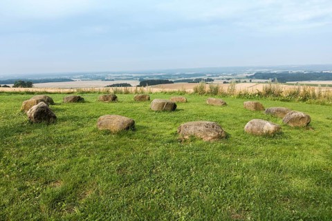 Yding skovhoj