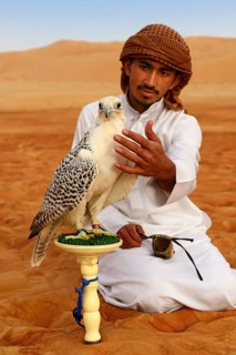 Falconer with Falcon