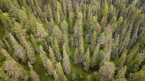 Drone shot