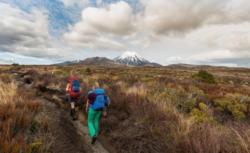Hikers