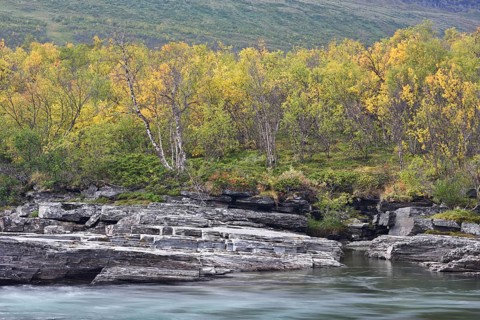 Abisko canyon in the fall