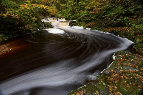 Stream of the Hoegne in autumn