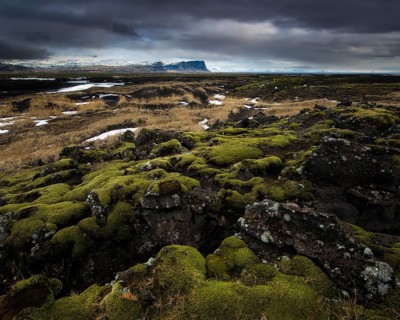 Moss-covered lava rock