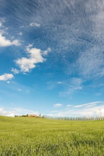 Country estate Poggio Covili with road lined with cypress trees