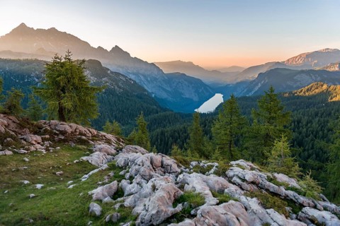Panorama