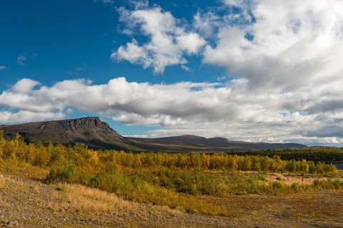 Autumn in Stora Sjofallet National Park