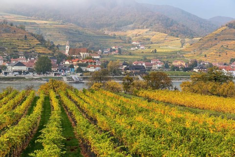 Village view Spitz an der Donau