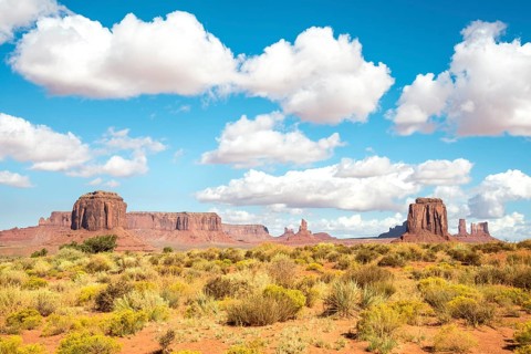 Scenic Drive