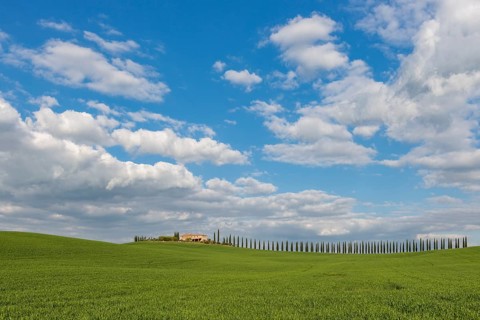 Country estate Poggio Covili with road lined with cypress trees