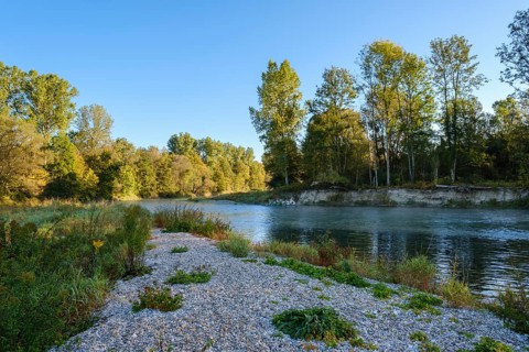 Isar