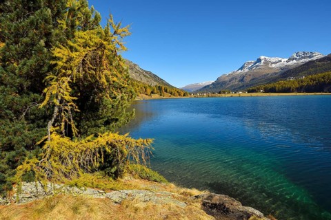 Lake Sils