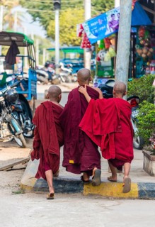 Young Buddhist monks walk on street