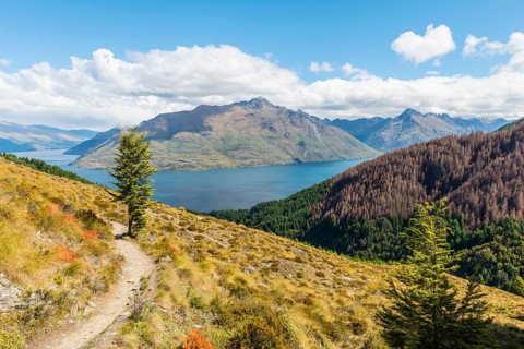 View of Lake Wakatipu