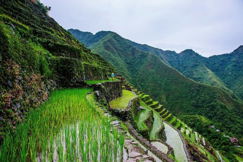 Batad rice terraces