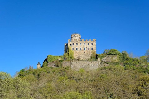 Castle Pyrmont in Roes