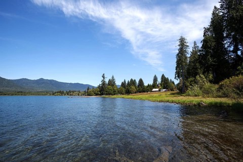 Lake Quinault near Quinault