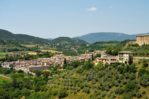 Medieval town