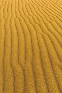 Singing Dune