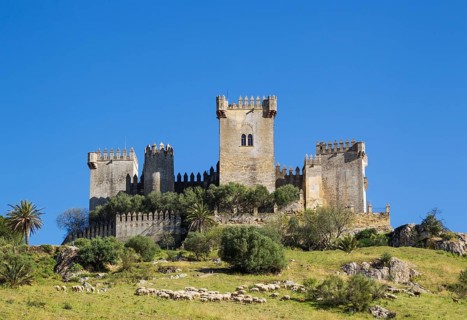 Castle of Almodovar del Rio with a flock of sheep