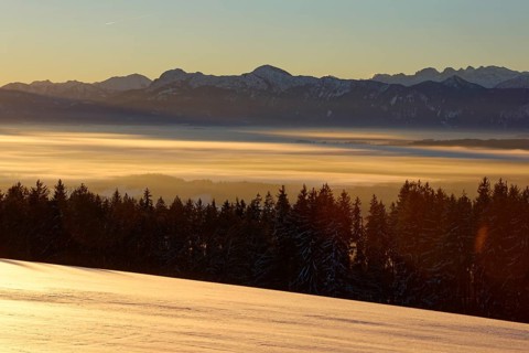 Sunrise in winter