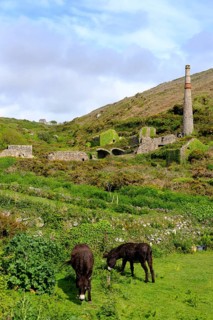Ruins of a tin mine