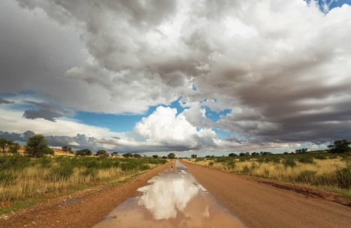 Puddles on road and cumulus clouds