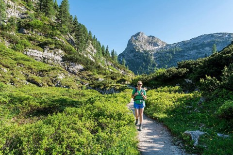 Hiker on footpath to the Karlingerhaus