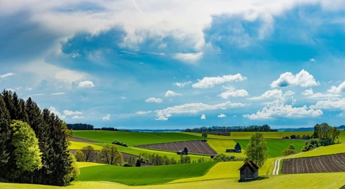 Fields and meadows with field path and small hut
