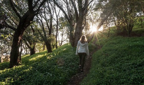 Woman walking on forest path