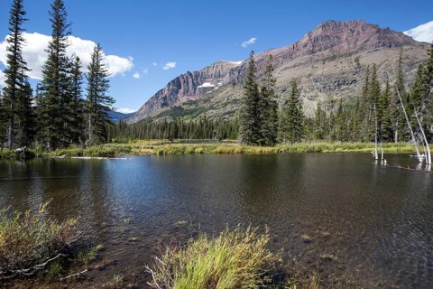 Two Medicine Lake